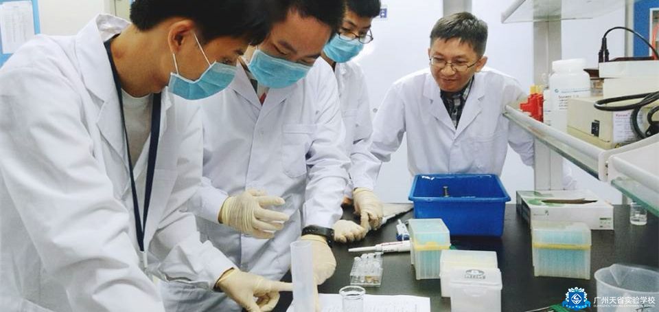 学科竞赛课程