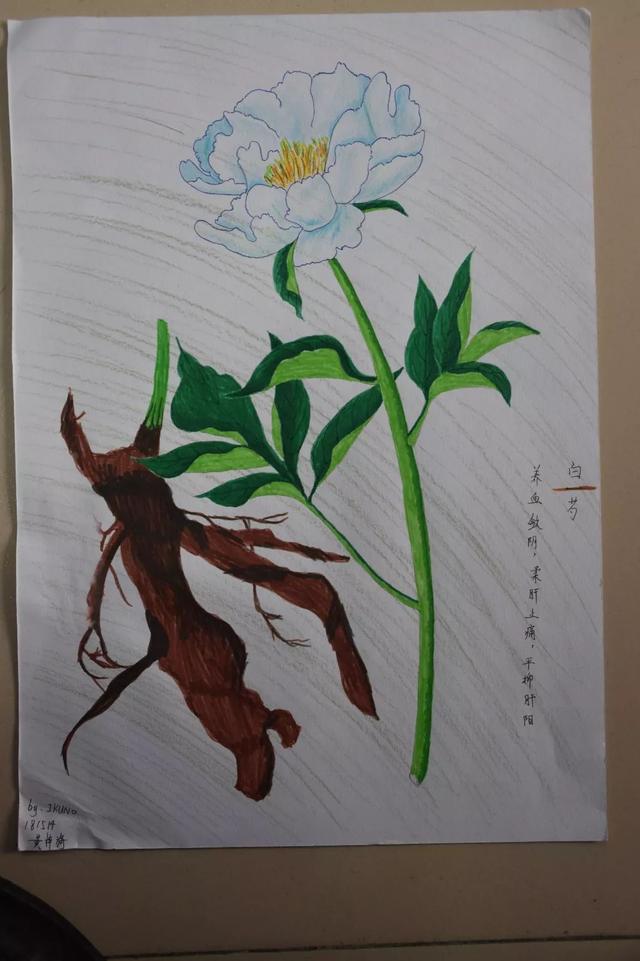 天河丨​省实附中：弘扬传统医学，国医节活动精彩多多！