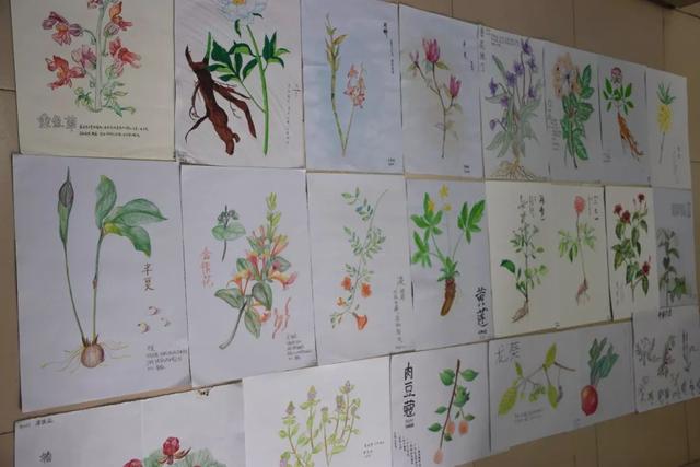 天河丨​省实附中：弘扬传统医学，国医节活动精彩多多！